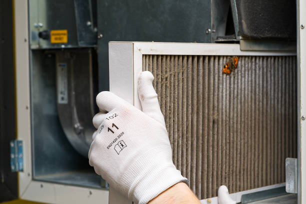 Best Air Vent Cleaning Services  in Jackson, SC